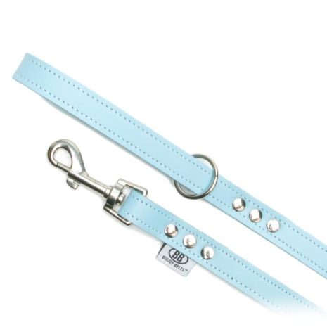 3/4" Blue Leash 3/4" Blue Leash