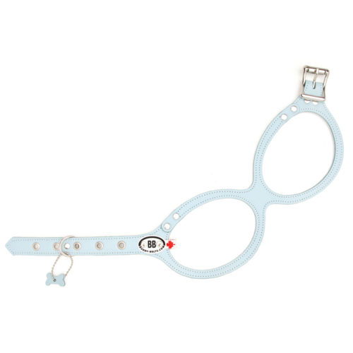 Buddy Belts Premium Harness (Blue)