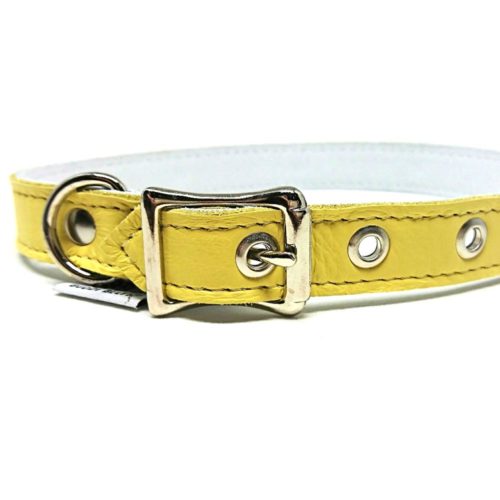 Buddy Belts Luxury ID Collars (Sunflower)