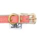 Coral Dream BB Buckle