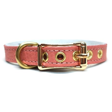 Coral Dream BB Collar