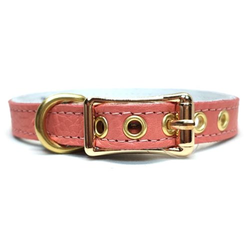 Buddy Belts Elite ID Collars (Coral Dream)