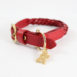 Cyntia_collar-red_3_ytlgvs