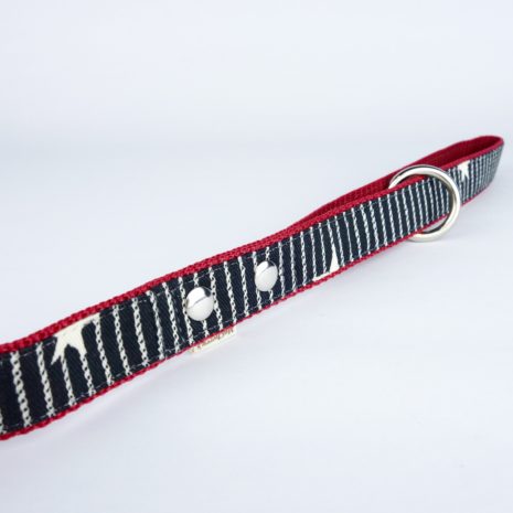 Stars and Stripes dog leash - 4 Stars and Stripes dog leash - 4