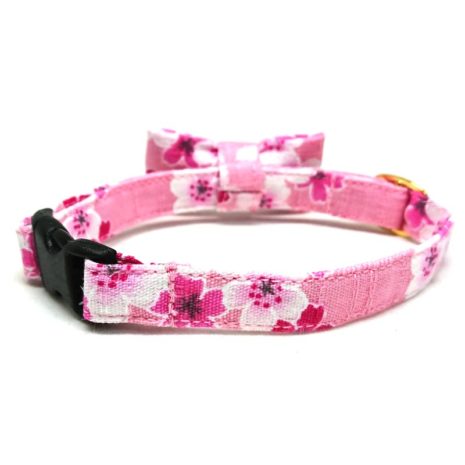 Sakura Blush Back Sakura Blush Back