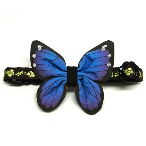 Butterflies Front (Azure Blue)