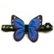 Butterflies Front (Azure Blue)