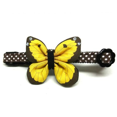 Butterflies Front (Yellow) Butterflies Front (Yellow)