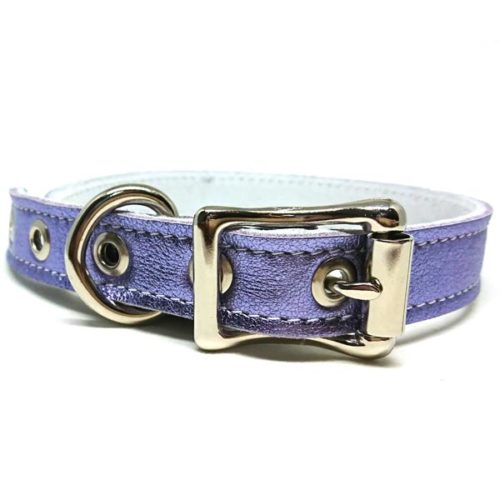 Buddy Belts Luxury ID Collars (Pixie 2.0)