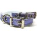 Buddy Belts ID Collar (Pixie 2.0)