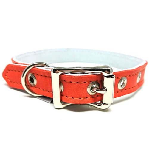 Buddy Belts Luxury ID Collars (Sunset)