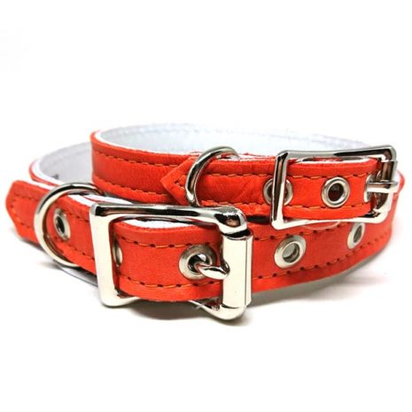 Sunset Collar - 1/2" & 3/4" Sunset Collar - 1/2" & 3/4"