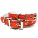 Sunset Collar - 1/2" & 3/4"