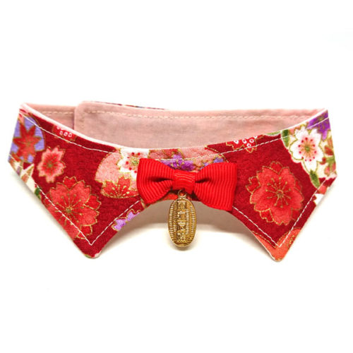 When In Doubt Wear Red decorative collar When In Doubt Wear Red decorative collar