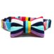 Technicolour Front