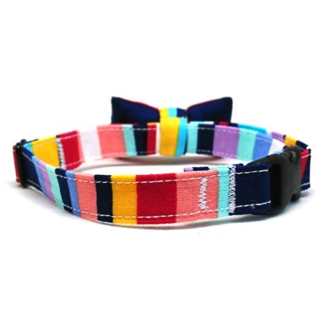 Technicolour Back Technicolour Back