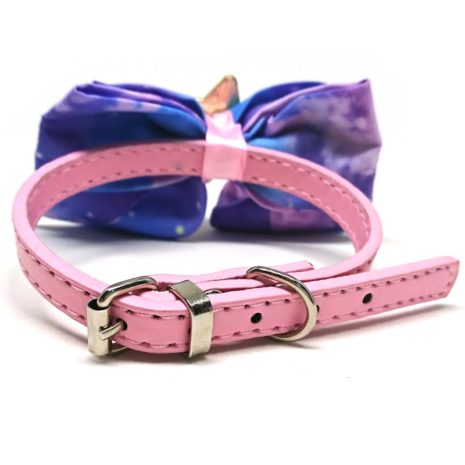 Fairy Dust Back Fairy Dust Back