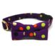 Sassy Dots Purple Front
