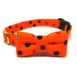 Sassy Dots Orange Front