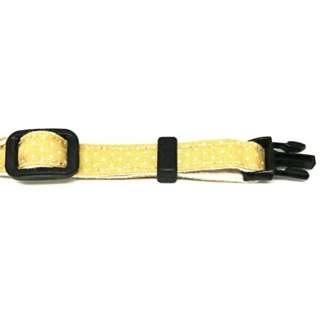 Dandelion Buckle Dandelion Buckle