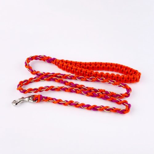 With A Twist – Leash for small dogs With A Twist – Leash for small dogs