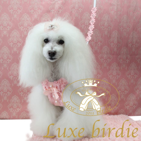 Luxe_Birdie_Priscillar_leash_pink_3_eulxpj Luxe_Birdie_Priscillar_leash_pink_3_eulxpj
