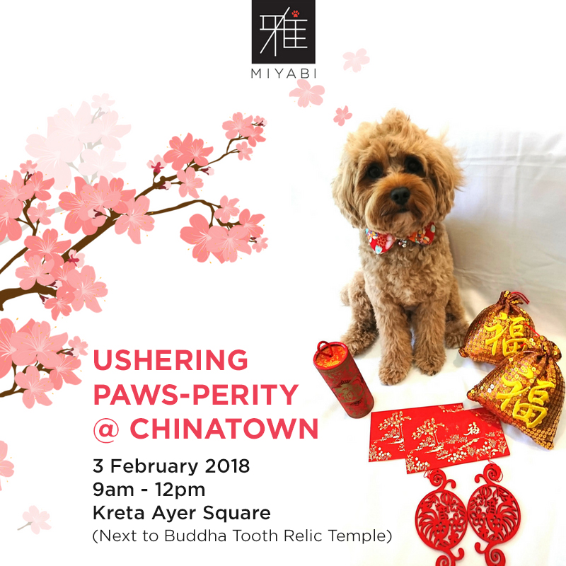 Ushering Paws-perity at Chinatown