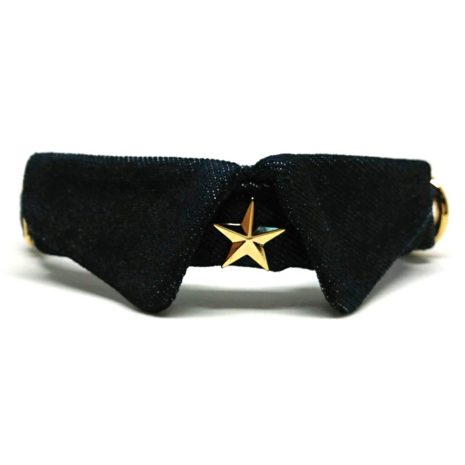 Rock-Star-Front