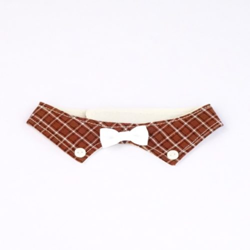 Suit Up Decorative Collar