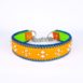 The_Colour_Wheel_leather_choke_collar_for_big_dogs_-_1_1_rr1avc
