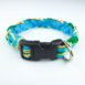 With_a_Twist_blue_green_collar_-_2_enddjr