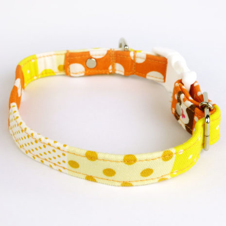 dog-collar-beach-holiday1 dog-collar-beach-holiday1