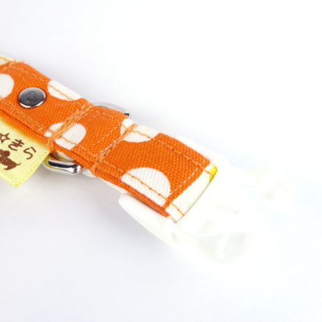 dog-collar-beach-holiday5 dog-collar-beach-holiday5