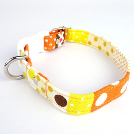 dog-collar-beach-holiday7 dog-collar-beach-holiday7