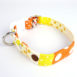 dog-collar-beach-holiday7