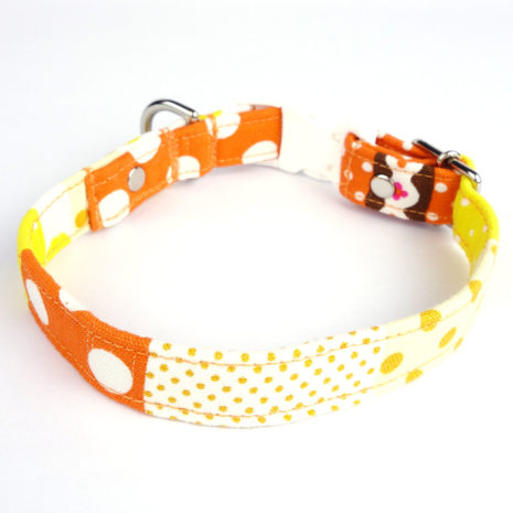 dog-collar-beach-holiday9 dog-collar-beach-holiday9