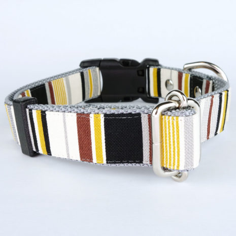 dog-collar-bumblebee-06 dog-collar-bumblebee-06