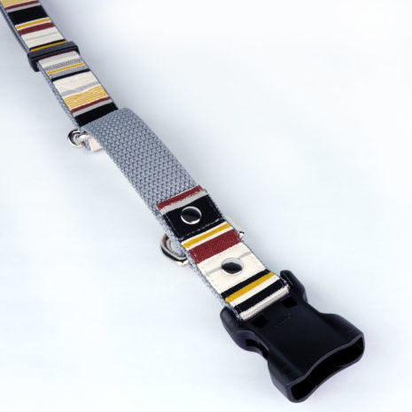 dog-collar-bumblebee-18 dog-collar-bumblebee-18