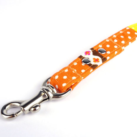 dog-leash-beach-holiday19 dog-leash-beach-holiday19