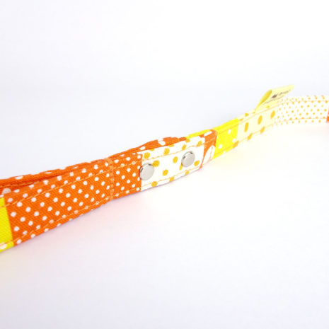 dog-leash-beach-holiday22 dog-leash-beach-holiday22