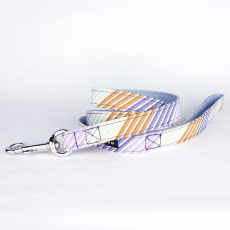 dog-leash-blue-diagonals-01_heppjc