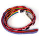dog-leash-bw-rainbow-01