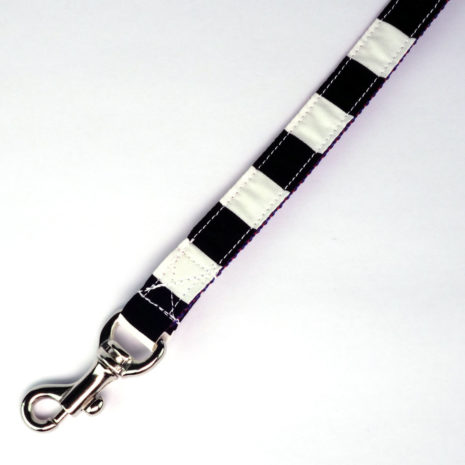 dog-leash-bw-rainbow-07 dog-leash-bw-rainbow-07