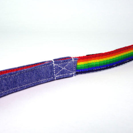 dog-leash-bw-rainbow-09 dog-leash-bw-rainbow-09