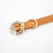 liz_color_orange3_osgmrp