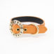 liz_color_orange5_vemynq