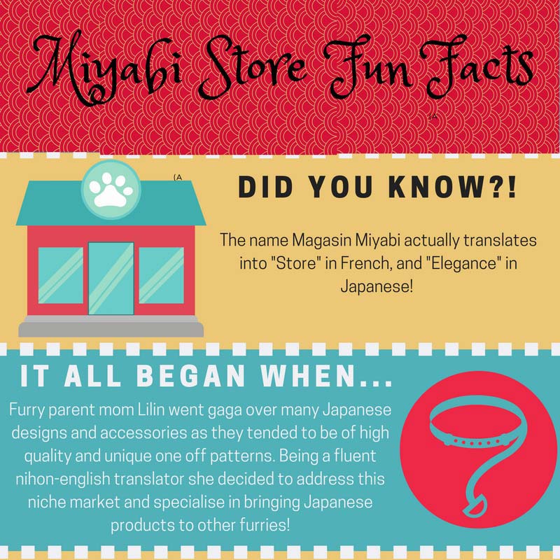 Miyabi Fun Facts – Get To Know Us! Miyabi Fun Facts – Get To Know Us!