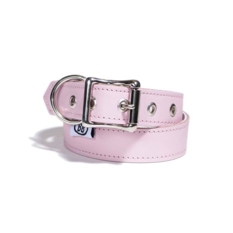pink1collar_1200