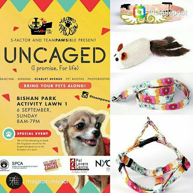 UNCAGED Carnival | S-Factor & Team Pawsible